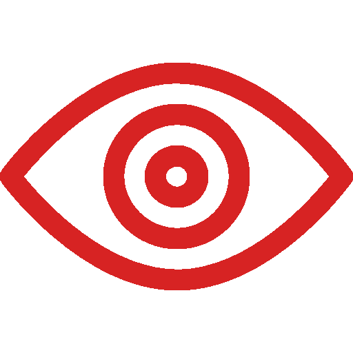 vision